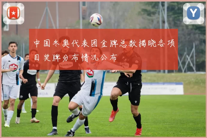 中国冬奥代表团金牌总数揭晓各项目奖牌分布情况公布